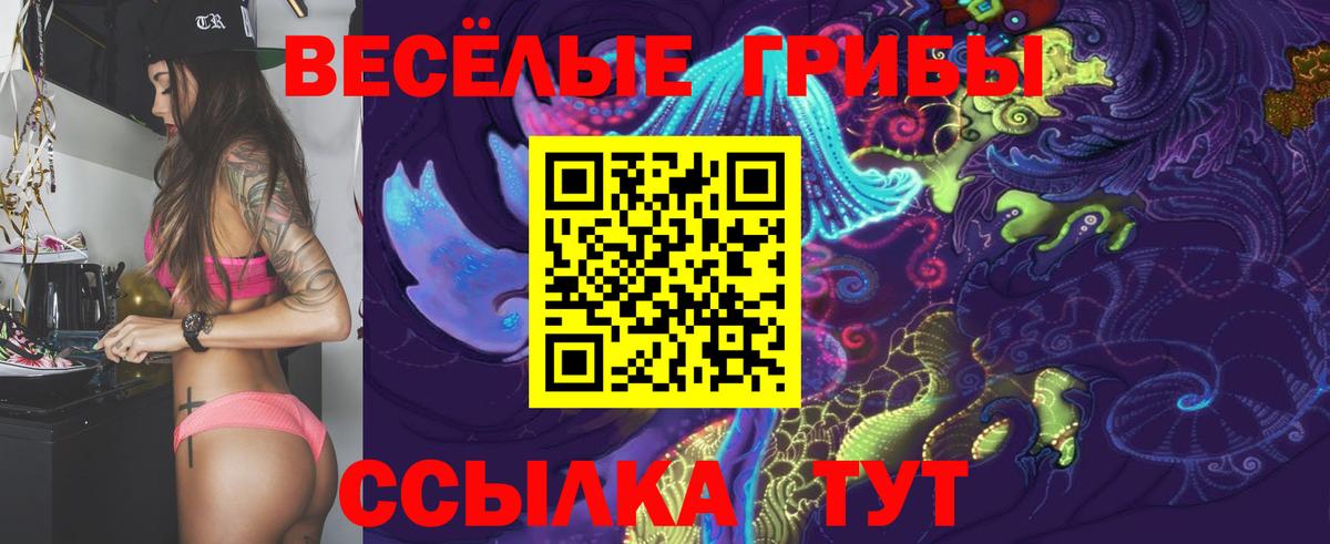 Галлюциногенные грибы GOLDEN TEACHER  Вход с VPN  Королёв 