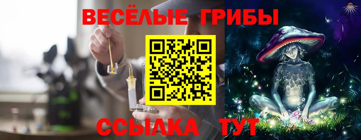 Псилоцибиновые грибы прущие грибы Королёв
