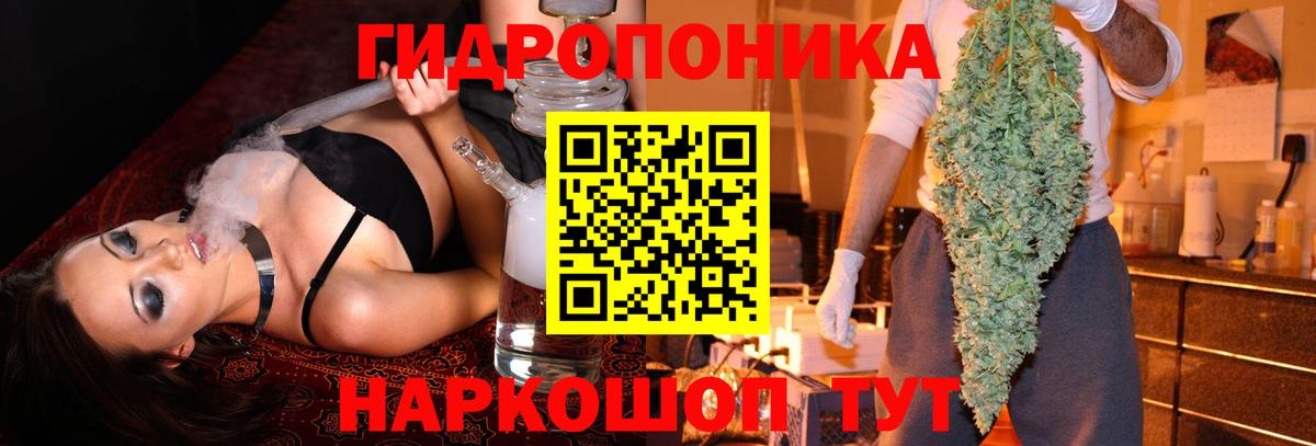 Королёв  Бошки Шишки семена  Бошки Шишки THC 21%  Бошки марихуана ГИДРОПОН  Вход с VPN  Каннабис ГИДРОПОН 